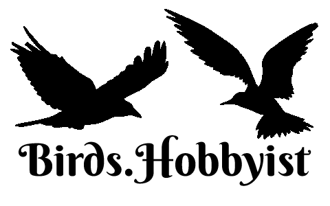 Sohan Dye-Chem - Logo